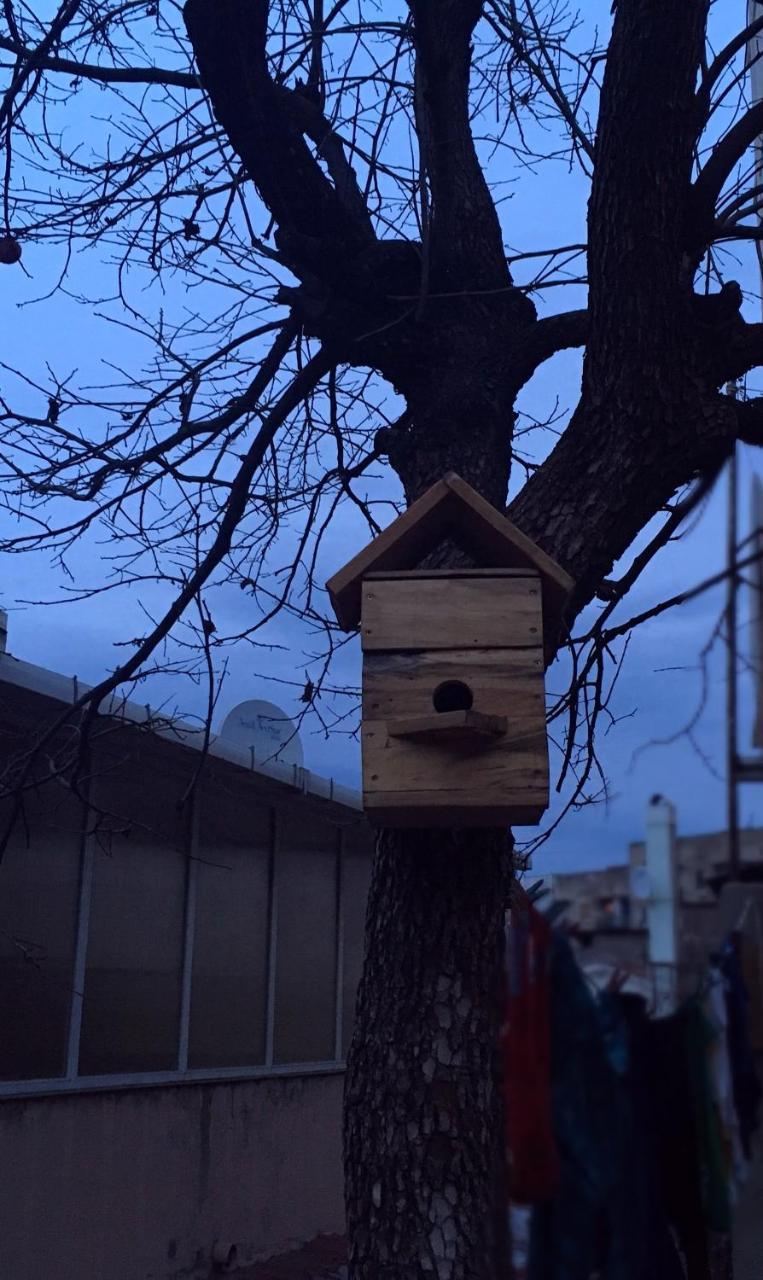 טביליסי Birdhouse Rooms מראה חיצוני תמונה